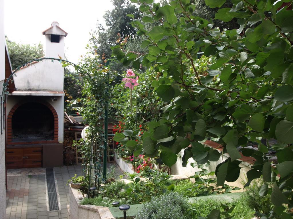 Villa Brucker Kožino 외부 사진